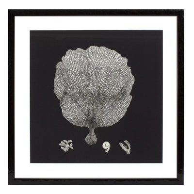 Print Black & Tan Corals set of 4-Eichholtz-EICHHOLTZ-106545-Wall Art-3-France and Son