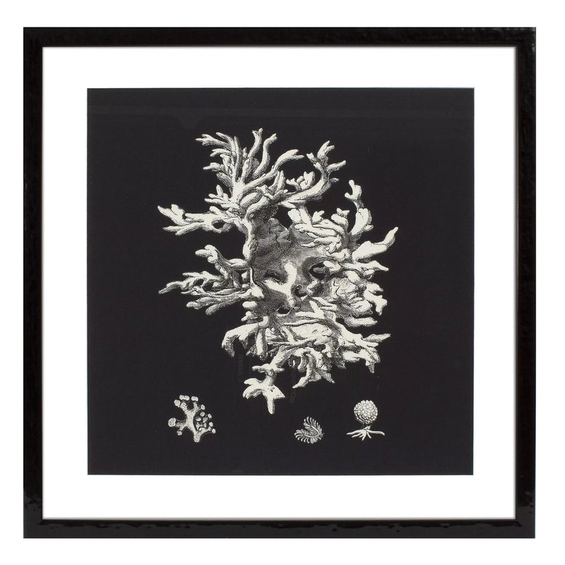 Print Black & Tan Corals set of 4-Eichholtz-EICHHOLTZ-106545-Wall Art-4-France and Son