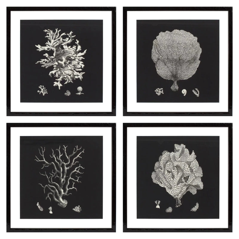 Print Black & Tan Corals set of 4-Eichholtz-EICHHOLTZ-106545-Wall Art-1-France and Son