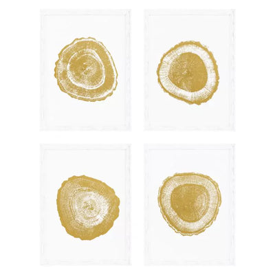 Print Gold Foil: Tree Rings Set Of 4-Eichholtz-EICHHOLTZ-110875-Wall Art-1-France and Son