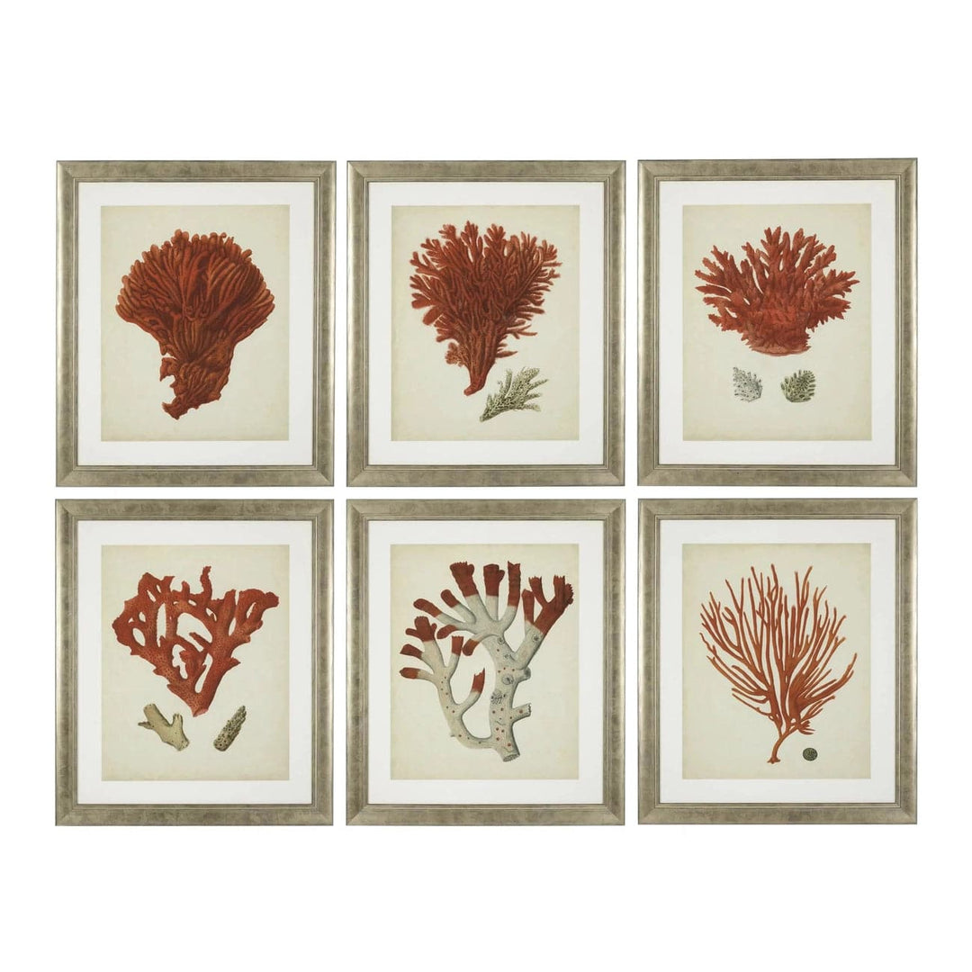 Print Antique Red Corals Set Of 6-Eichholtz-EICHHOLTZ-111741-Wall Art-1-France and Son