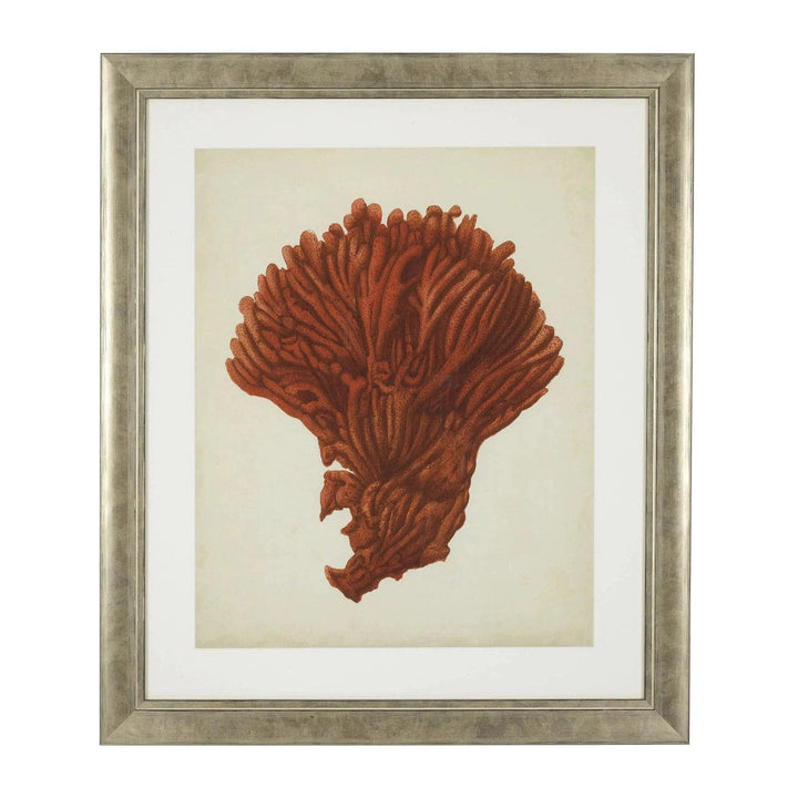 Print Antique Red Corals Set Of 6-Eichholtz-EICHHOLTZ-111741-Wall Art-2-France and Son