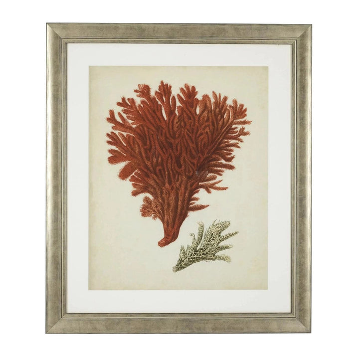 Print Antique Red Corals Set Of 6-Eichholtz-EICHHOLTZ-111741-Wall Art-3-France and Son