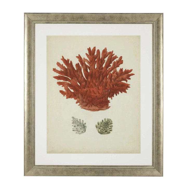 Print Antique Red Corals Set Of 6-Eichholtz-EICHHOLTZ-111741-Wall Art-4-France and Son