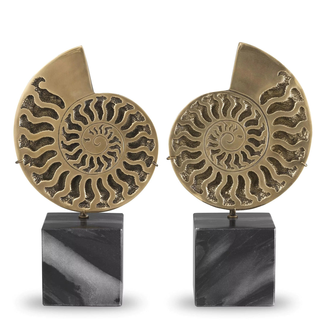 Object Ammonite Set Of 2-Eichholtz-EICHHOLTZ-113731-Decor-1-France and Son