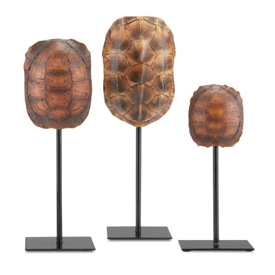 Turtle Shells Set Of 3-Currey-CURY-1200-0433-Decorative Objects-1-France and Son