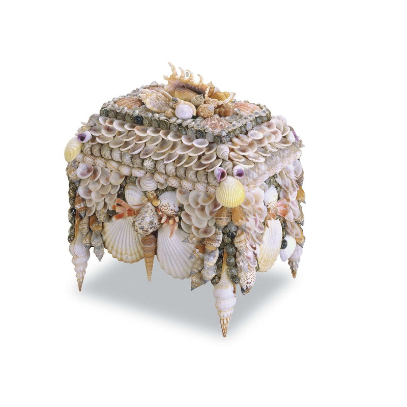 Boardwalk Shell Jewelry Box-Currey-CURY-1251-Decor-1-France and Son