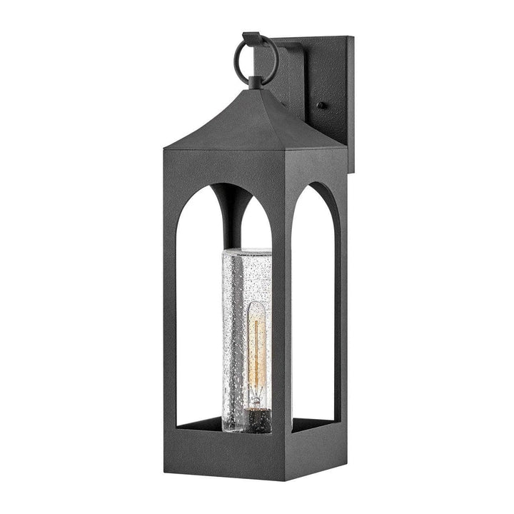 Amina Large Wall Mount Lantern-Hinkley Lighting-HINKLEY-18085DSZ-Flush Mounts-1-France and Son