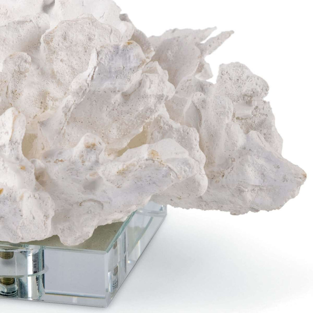 Flower Coral On Crystal Base - White