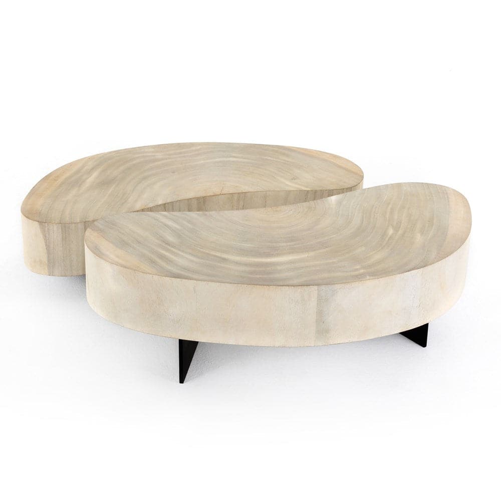 Avett Coffee Table - Bleached Guanacaste-Four Hands-FH-223615-001-Coffee Tables2-PC-5-France and Son