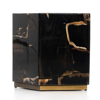 Shep End Table-Polished Petrified Wood-Four Hands-FH-226806-001-Side Tables-2-France and Son