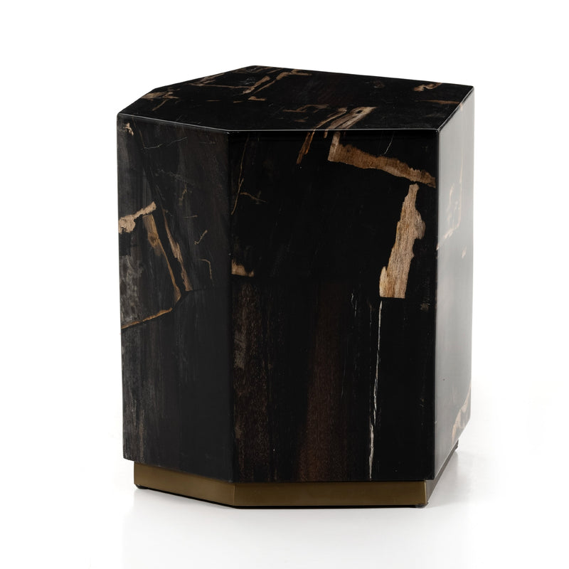 Shep End Table-Polished Petrified Wood-Four Hands-FH-226806-001-Side Tables-3-France and Son