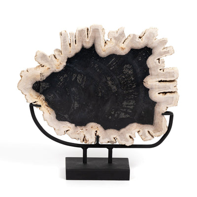 Petrified Wood Sculpture-Dark-Four Hands-FH-227717-001-Decor-5-France and Son