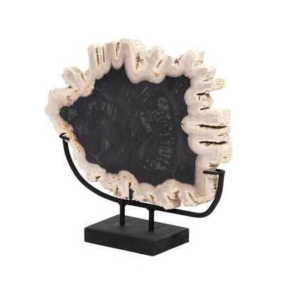 Petrified Wood Sculpture-Dark-Four Hands-FH-227717-001-Decor-3-France and Son