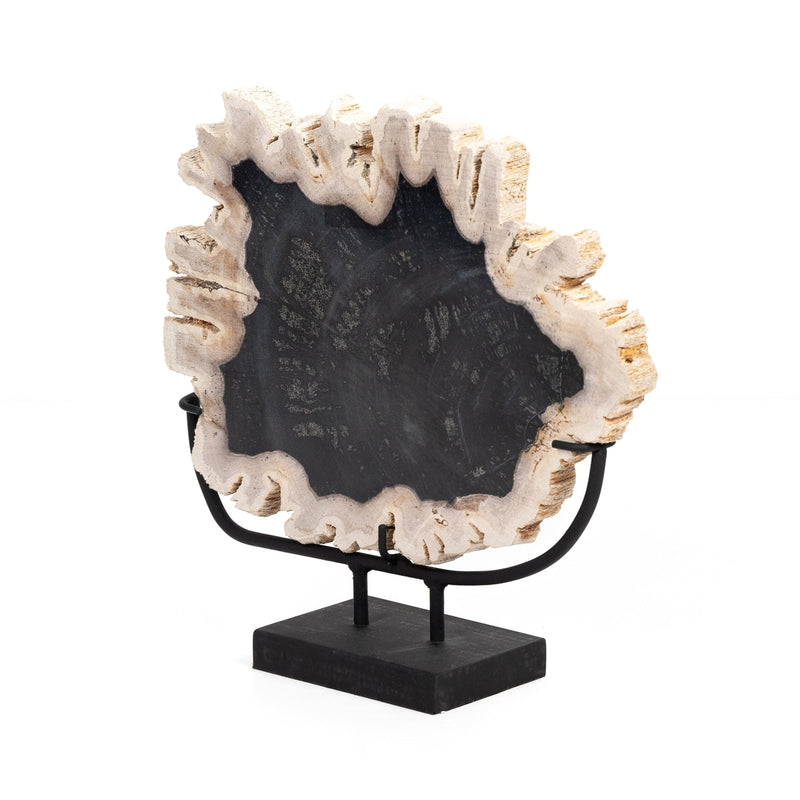 Petrified Wood Sculpture-Dark-Four Hands-FH-227717-001-Decor-1-France and Son