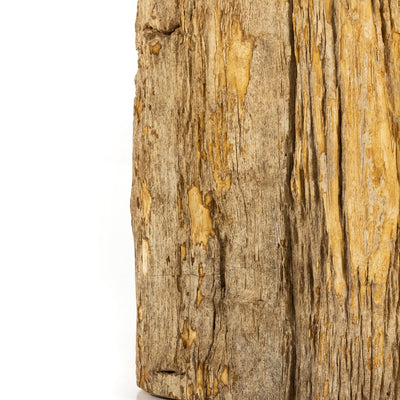 Riker End Table-Light Petrified Wood-Four Hands-FH-227731-001-Side Tables-2-France and Son