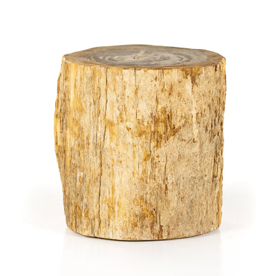 Riker End Table-Light Petrified Wood-Four Hands-FH-227731-001-Side Tables-3-France and Son