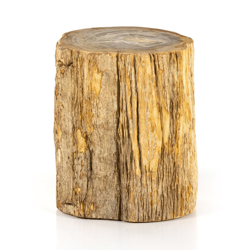 Riker End Table-Light Petrified Wood-Four Hands-FH-227731-001-Side Tables-1-France and Son