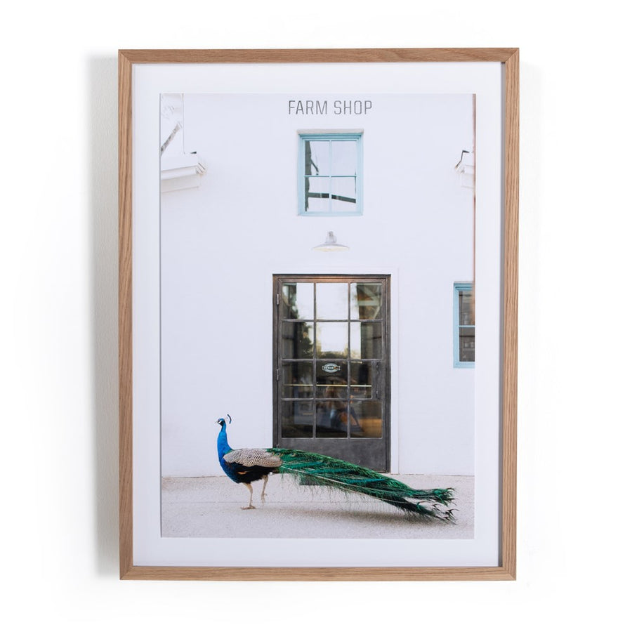 Peacock By Sarah Ellefson-Four Hands-FH-228805-001-Wall Art-1-France and Son