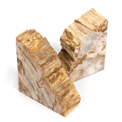 Petrified Wood Book Ends-Light-Four Hands-FH-229858-001-Bookends-8-France and Son