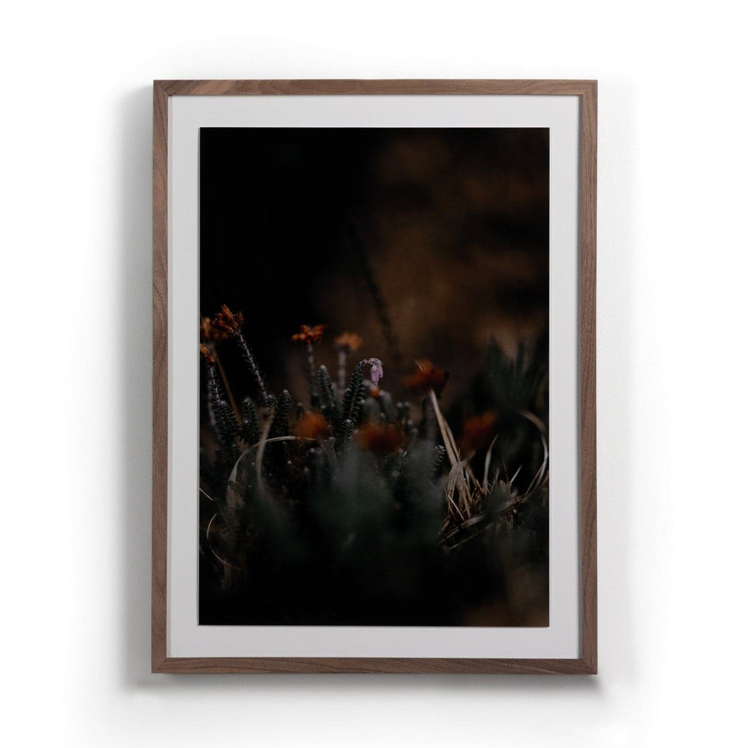 First Bloom By Annie Spratt-Four Hands-FH-230433-001-Wall Art-1-France and Son