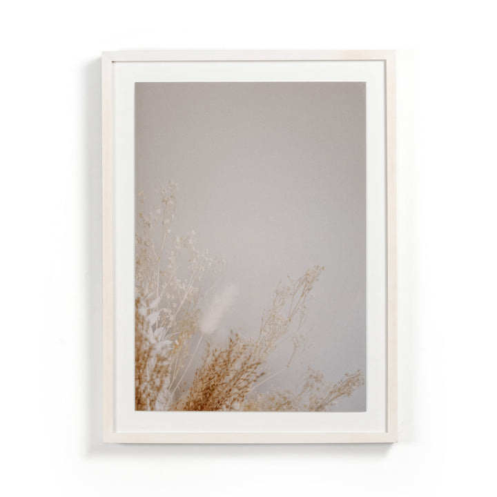 Dried Floral By Annie Spratt-Four Hands-FH-230435-001-Wall ArtII-2-France and Son