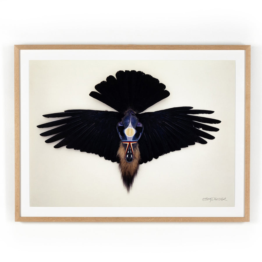 Coyote Crow By Boyd Elder-Four Hands-FH-233314-001-Wall Art-1-France and Son