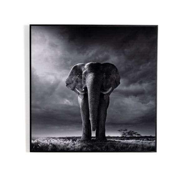 Larger Than Life By Getty Images-Four Hands-FH-238014-001-Wall Art40X40"-1-France and Son