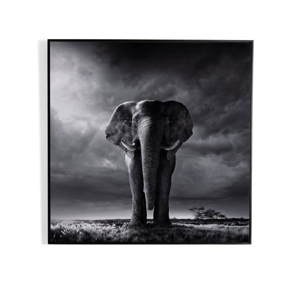 Larger Than Life By Getty Images-Four Hands-FH-238014-002-Wall Art24X24"-3-France and Son