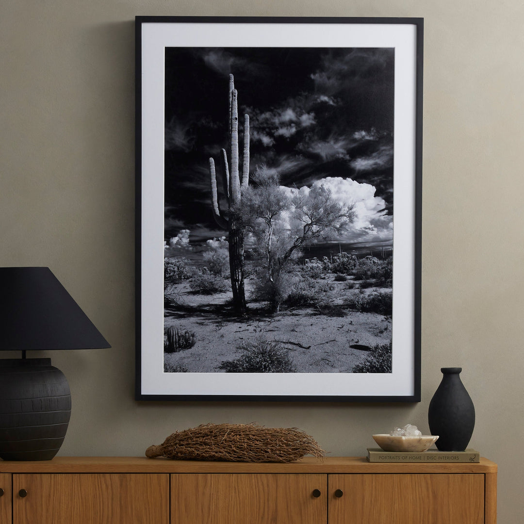 Sonoran Desert By Getty Images-Four Hands-FH-238451-001-Wall Art-2-France and Son