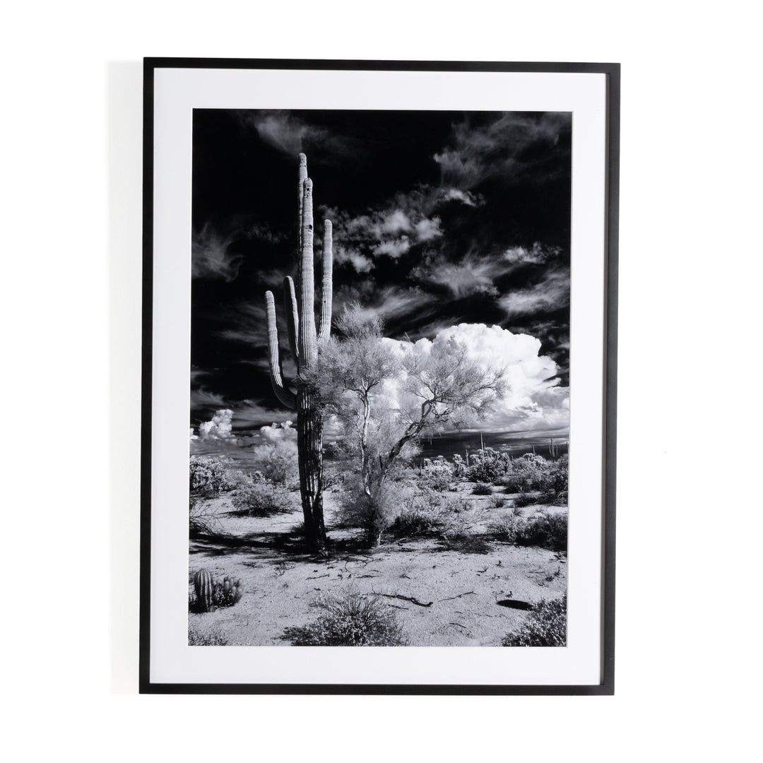 Sonoran Desert By Getty Images-Four Hands-FH-238451-001-Wall Art-1-France and Son