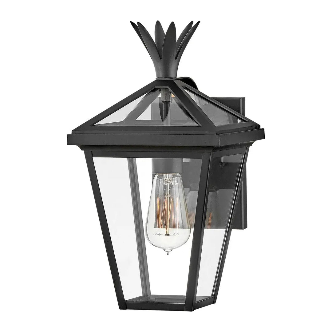 Outdoor Palma - Small Wall Mount Lantern-Hinkley Lighting-HINKLEY-26090BK-Outdoor LanternsBlack-2-France and Son