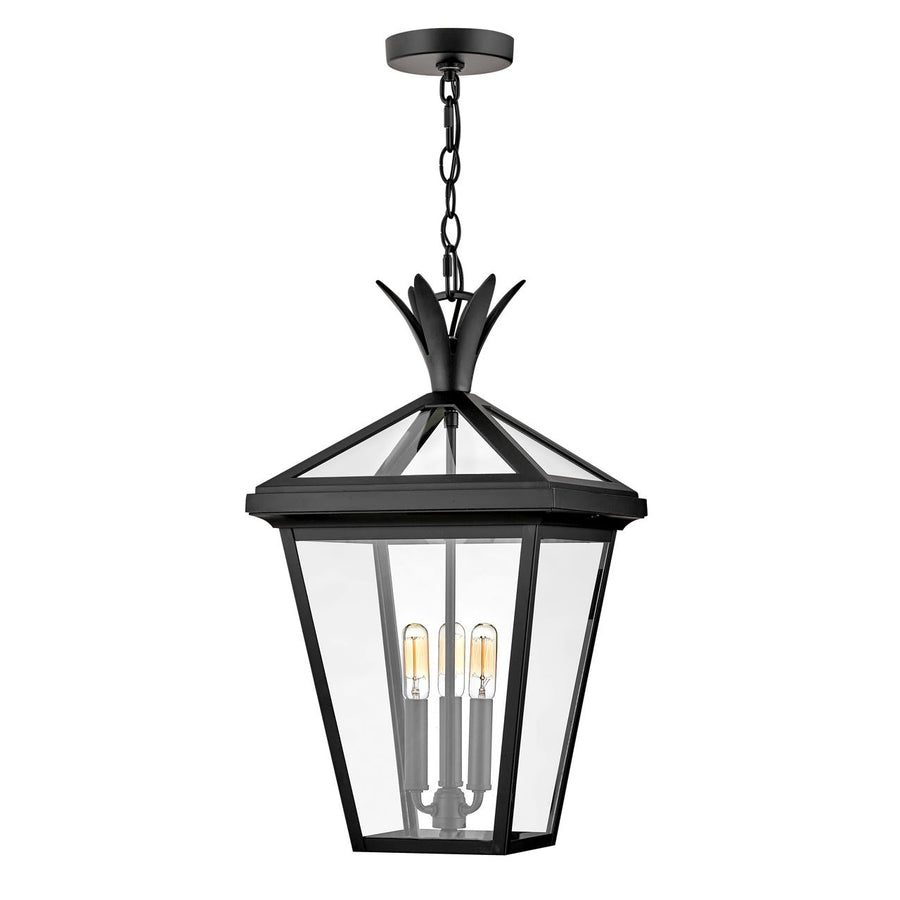 Outdoor Palma - Large Hanging Lantern-Hinkley Lighting-HINKLEY-26092BK-1-Outdoor Post LanternsBlack-1-France and Son