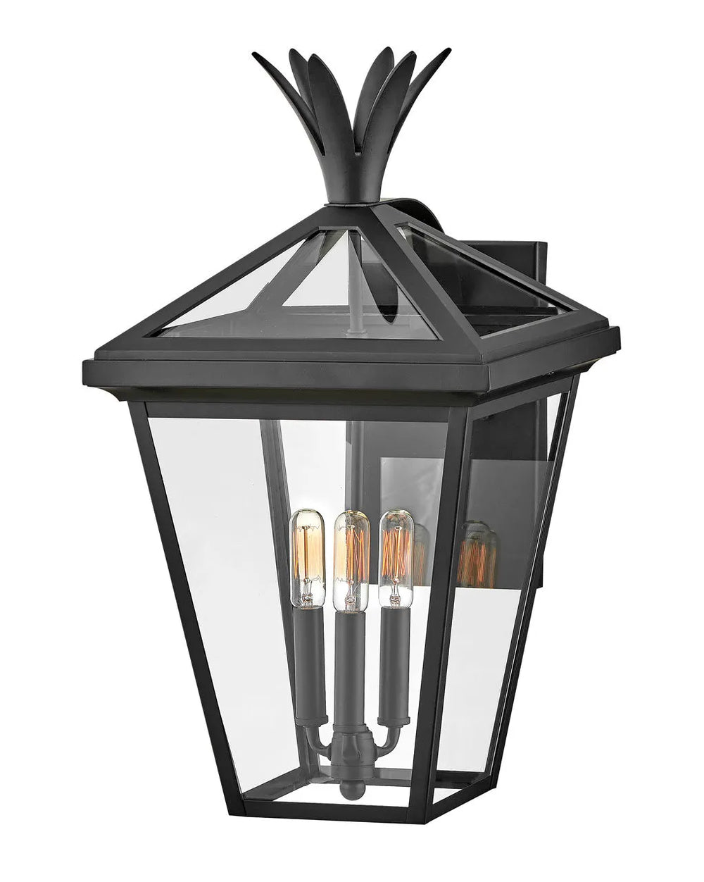 Outdoor Palma - Large Wall Mount Lantern-Hinkley Lighting-HINKLEY-26095BK-Wall LightingBlack-2-France and Son