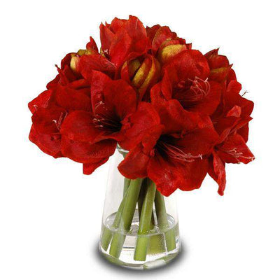 Red Amaryllis Arrangement-New Growth Designs-NGD-1550RD-Decor-1-France and Son