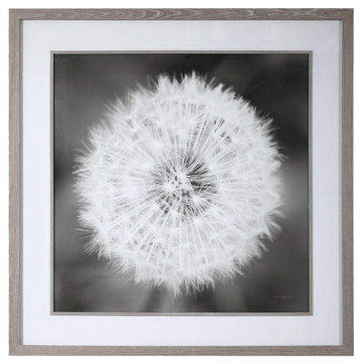 Dandelion Seedhead Framed Print-Uttermost-UTTM-33711-Wall Art-1-France and Son