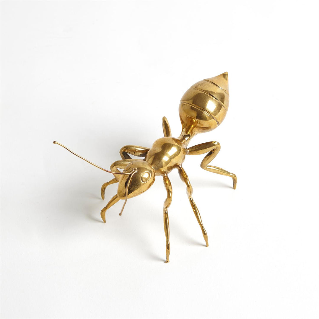 Pharaoh Ant - Large-Global Views-GVSA-8.82606-Decorative ObjectsAntique Nickel-3-France and Son