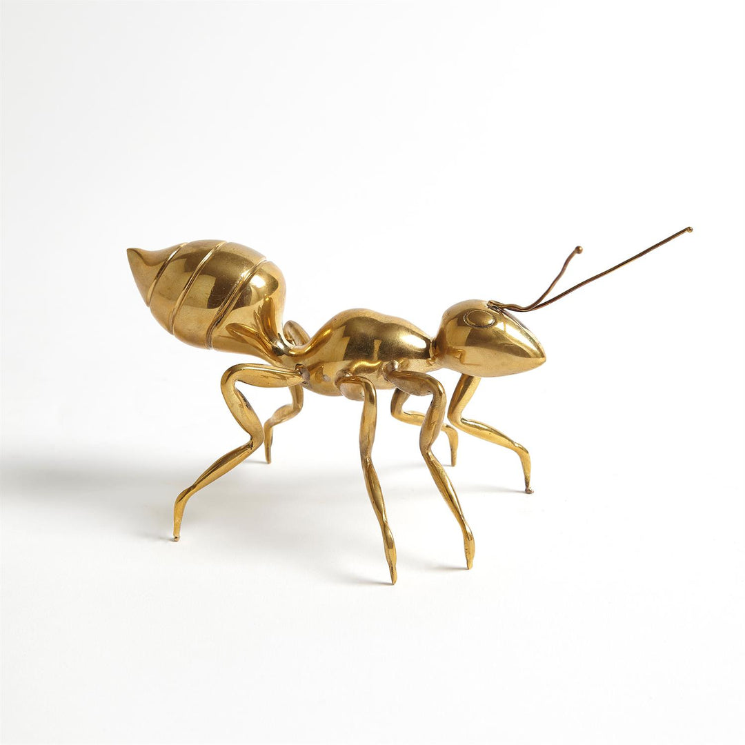 Pharaoh Ant - Large-Global Views-GVSA-8.82604-Decorative ObjectsAntique Brass-4-France and Son