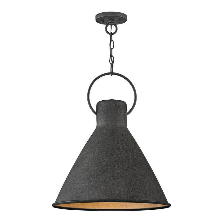 Winnie Medium Pendant-Hinkley Lighting-HINKLEY-3555DZ-PendantsAged Zinc-4-France and Son