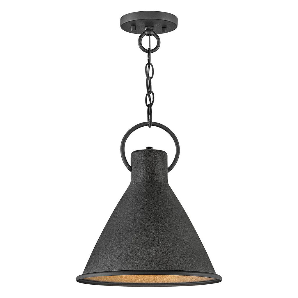 Winnie Small Pendant-Hinkley Lighting-HINKLEY-3557DZ-PendantsAged Zinc-2-France and Son