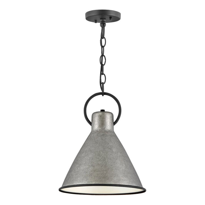 Winnie Small Pendant-Hinkley Lighting-HINKLEY-3557RP-PendantsRustic Pewter-4-France and Son