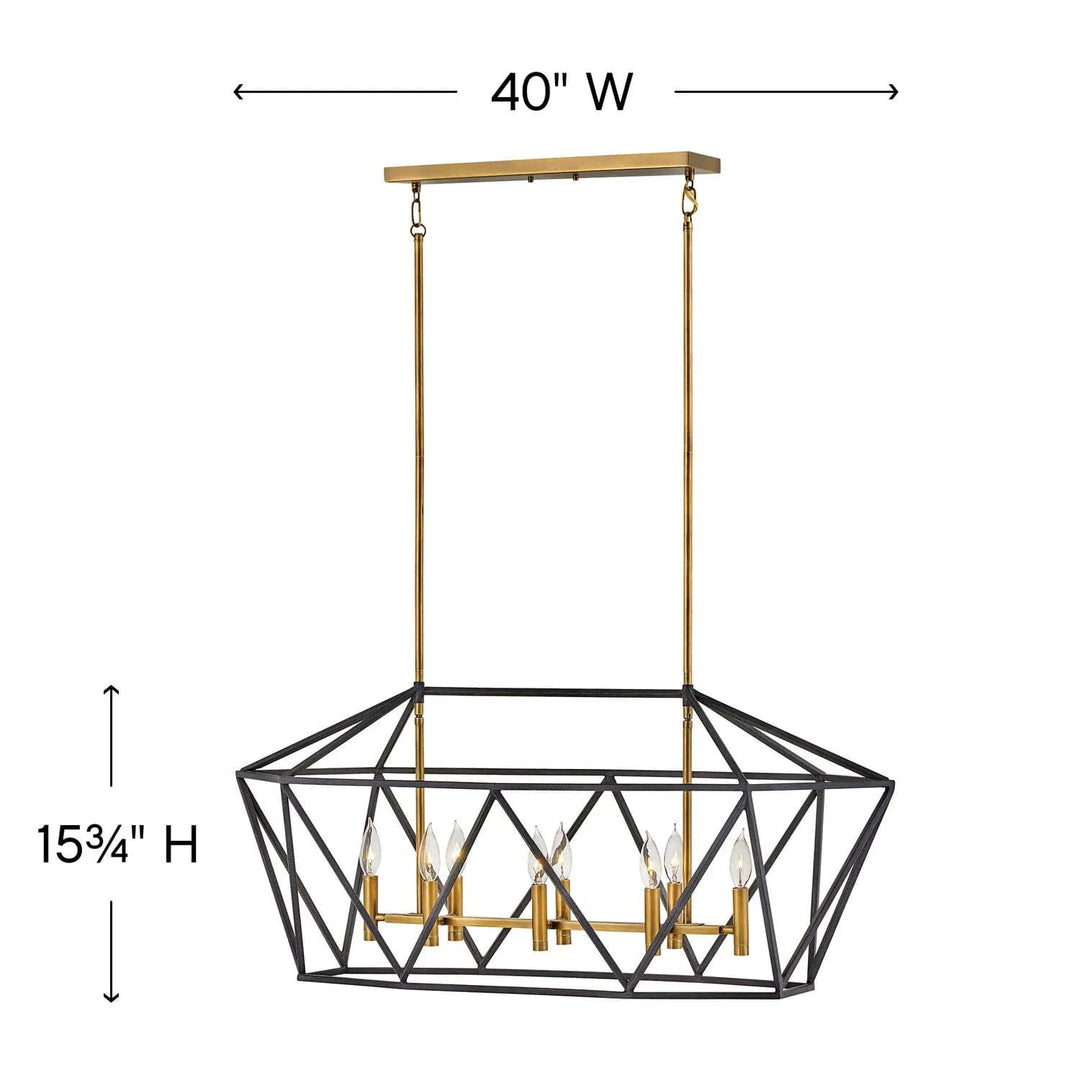 Chandelier Theory - Eight Light Linear-Hinkley Lighting-HINKLEY-3575DZ-Chandeliers-2-France and Son