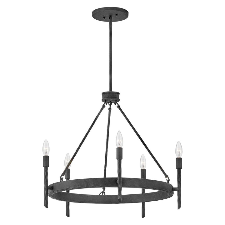 Chandelier Tress - Single Tier-Hinkley Lighting-HINKLEY-3675FE-ChandeliersBlack-Medium-4-France and Son