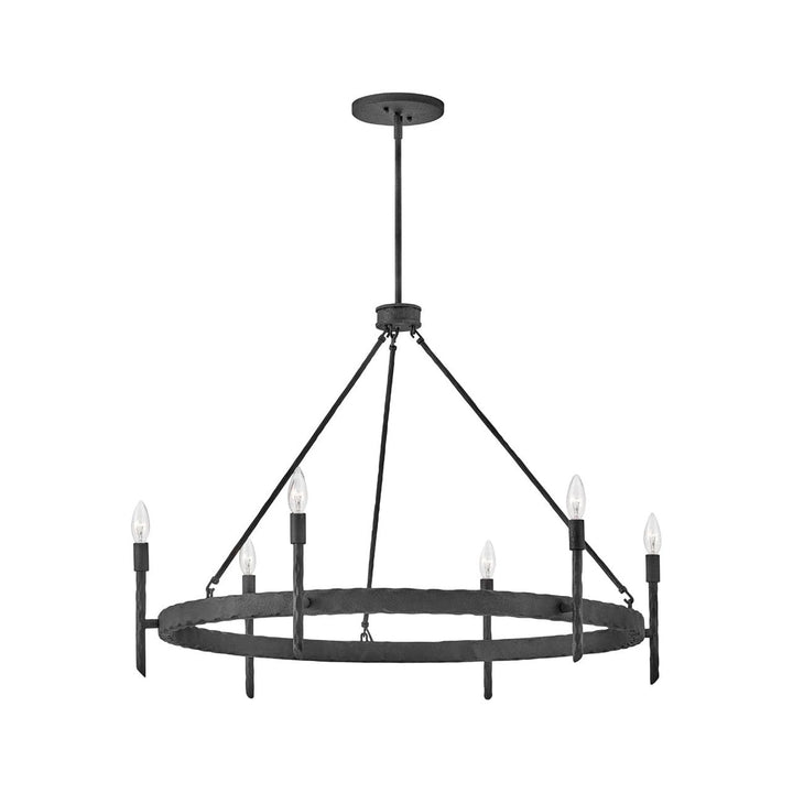 Chandelier Tress - Single Tier-Hinkley Lighting-HINKLEY-3678FE-ChandeliersBlack-Large-2-France and Son