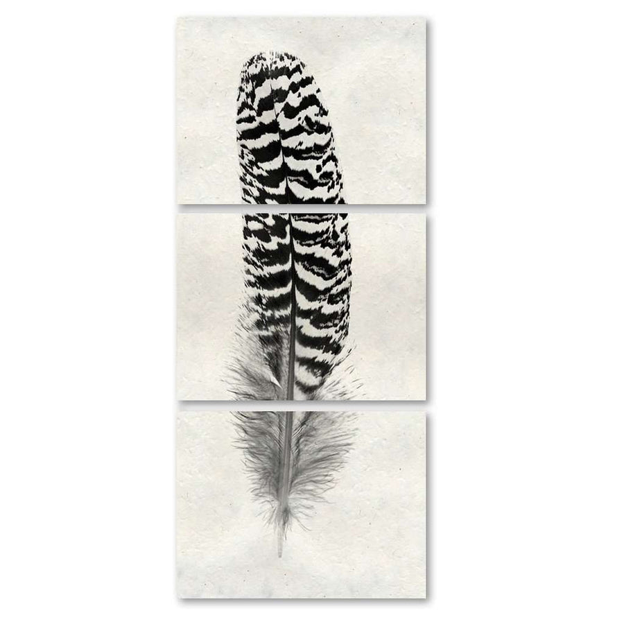 BARLOGA-Feather#13TrilogyPrint
