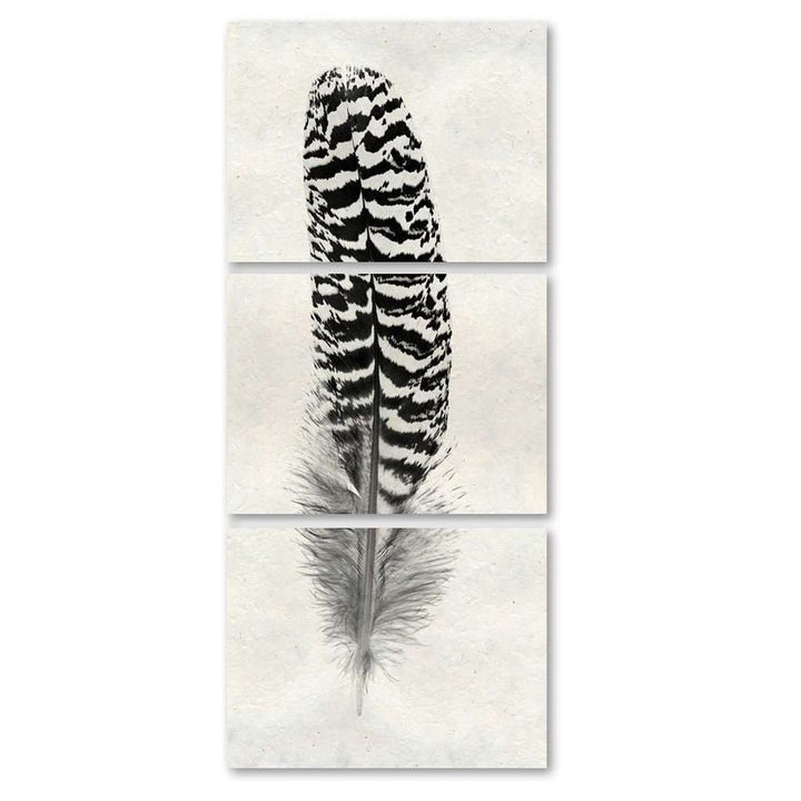 Feather #13 Trilogy Print, shown in black and off-white with paper, canvas, and multi-panel wall-mounted print.