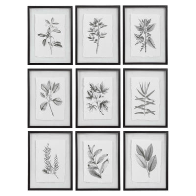 Uttermost Farmhouse Florals Framed Prints, S/9-Uttermost-UTTM-41617-Wall Art-1-France and Son