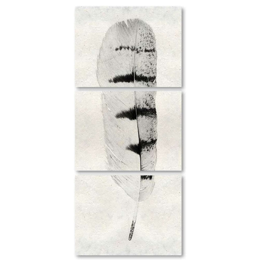 Feather #8 Trilogy Print