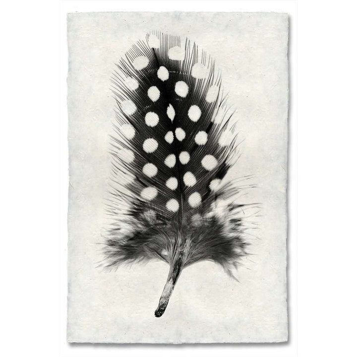 Feather Study #1 Print, shown in black and white with paper, ink, and flat wall-hanging print format.