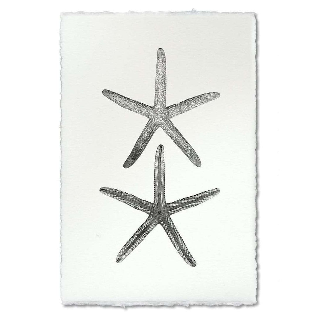 BARLOGA-DoubleStarfishPrint  - Parent - double starfish print 